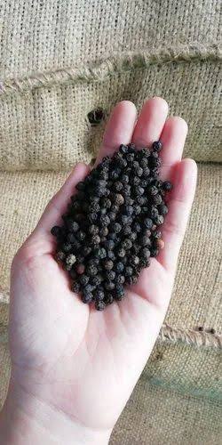 Black Pepper 2